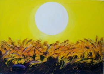 Sulle orme della sera 2015